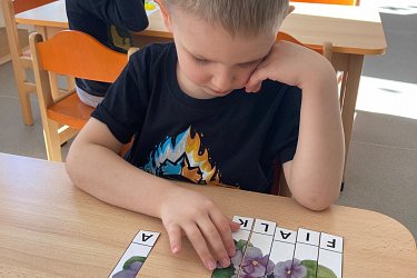 Obrázek č.10